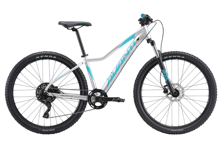 avanti-montari-2