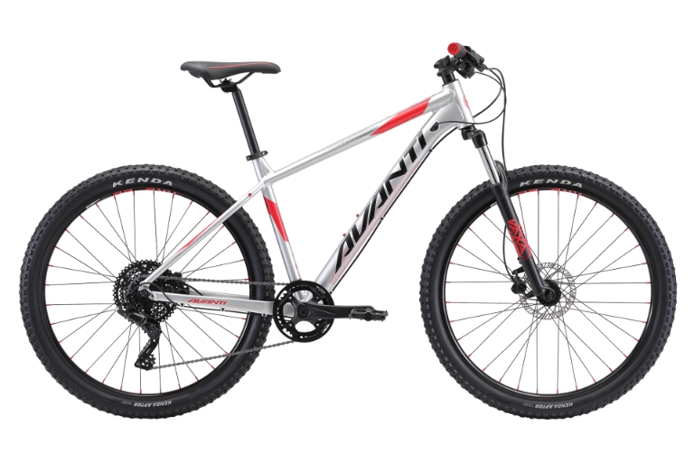 avanti-montari-3