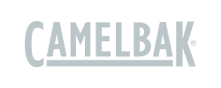 logo-camel